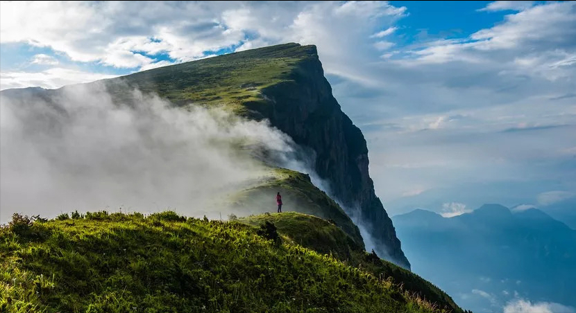 要来龙头山大断崖,需要从大凉山中穿行而过,随着海拔升高,便是从丛林