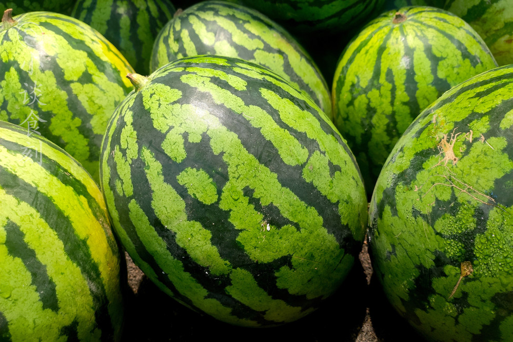 西瓜甜不甜,别只看大小,老果农教你挑瓜"3要素",一买一个准