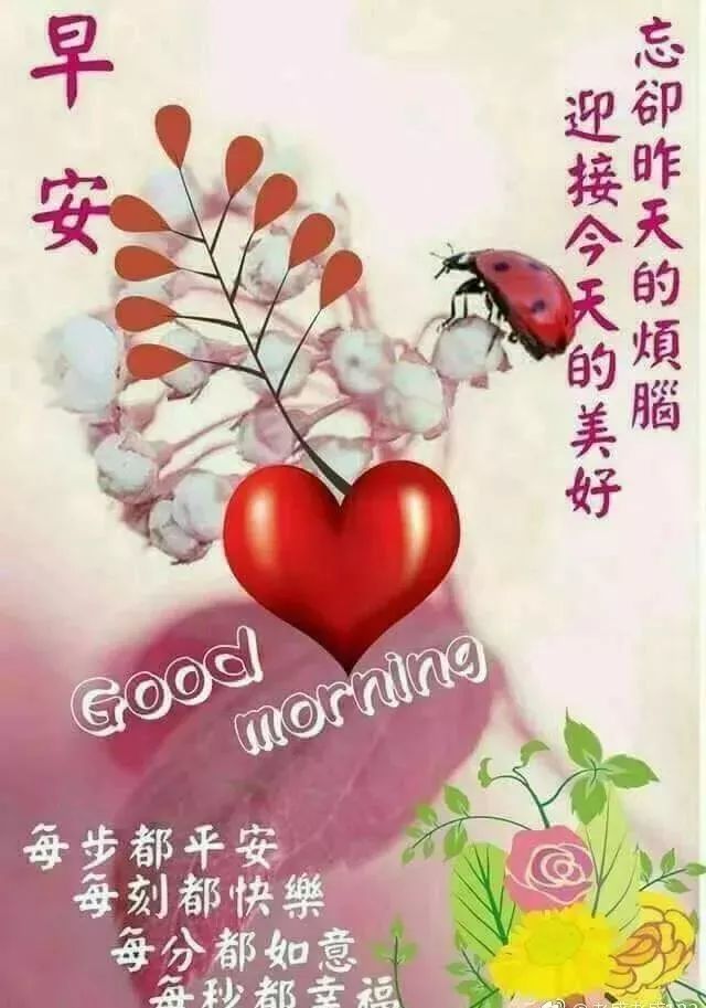 新的一天最新早上好暖心慰问语图片大全,最新版的早安祝福与问候短信