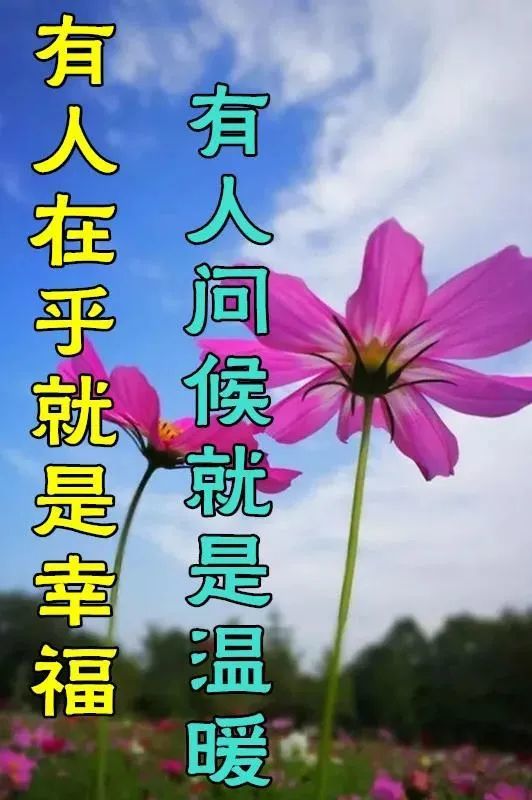 8張最新特漂亮早上好鮮花圖片帶字帶祝福語 最美秋日早安問候祝福圖片