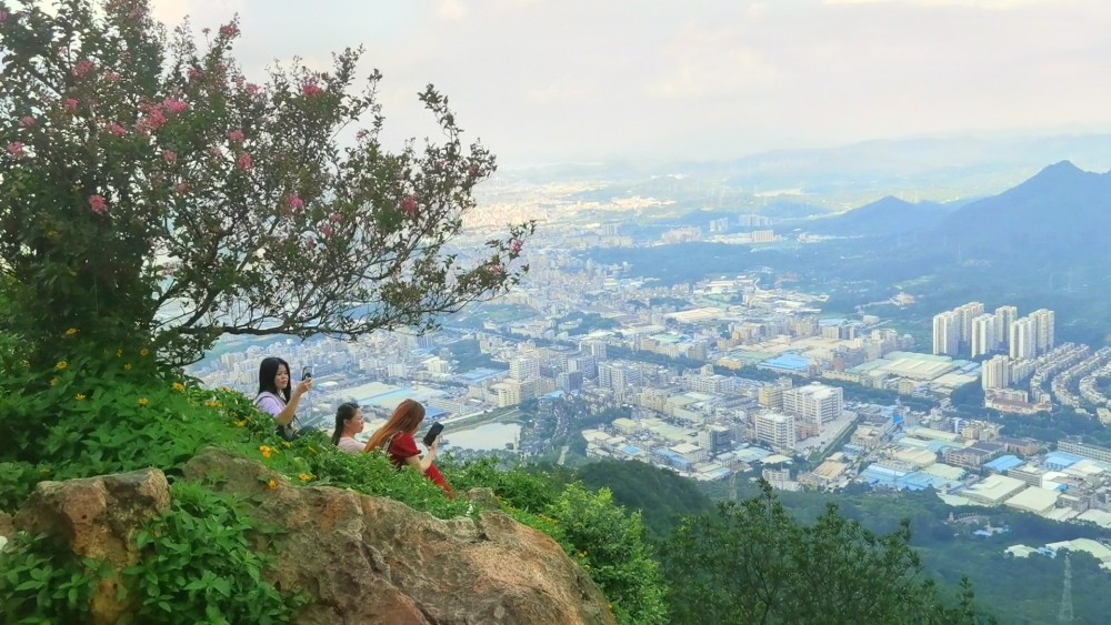 東莞長安郊野公園-也是蓮花山,西主峰,南主峰