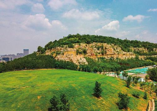 "网红"山坡绿化升级