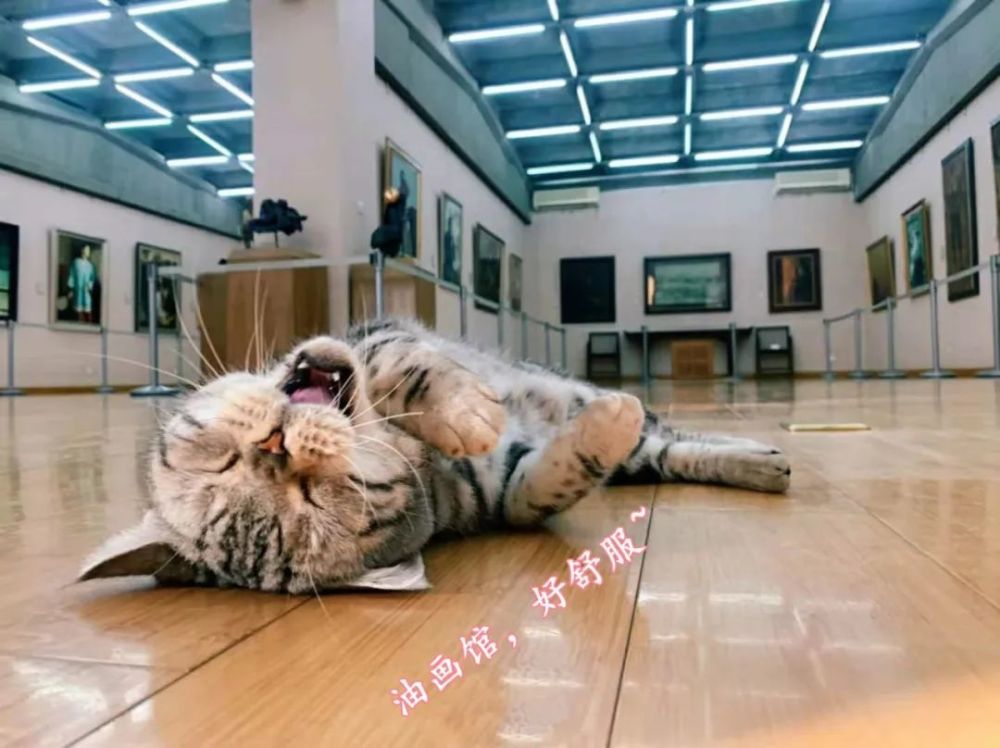 马都督:暑假快乐,一起玩嗨