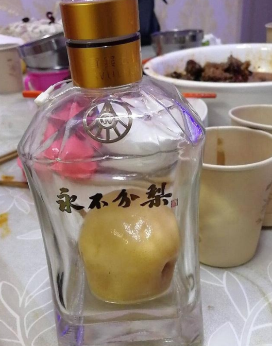 永不分梨火了拳头大鸭梨囫囵个怎么装进瓶看完被自己蠢哭