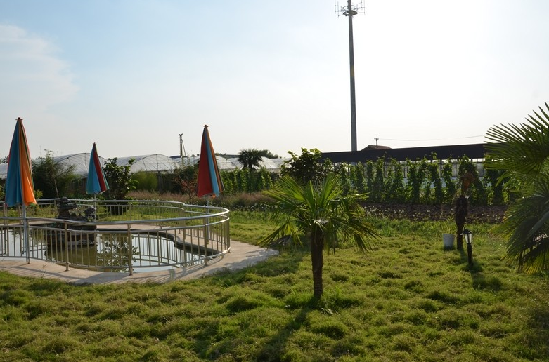 网红马洪涛上演新剧本,"舍得庄园被拆"内幕曝光,遭粉丝嘲讽