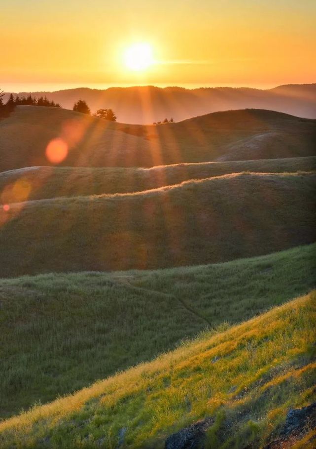 手机壁纸:晨光暮色