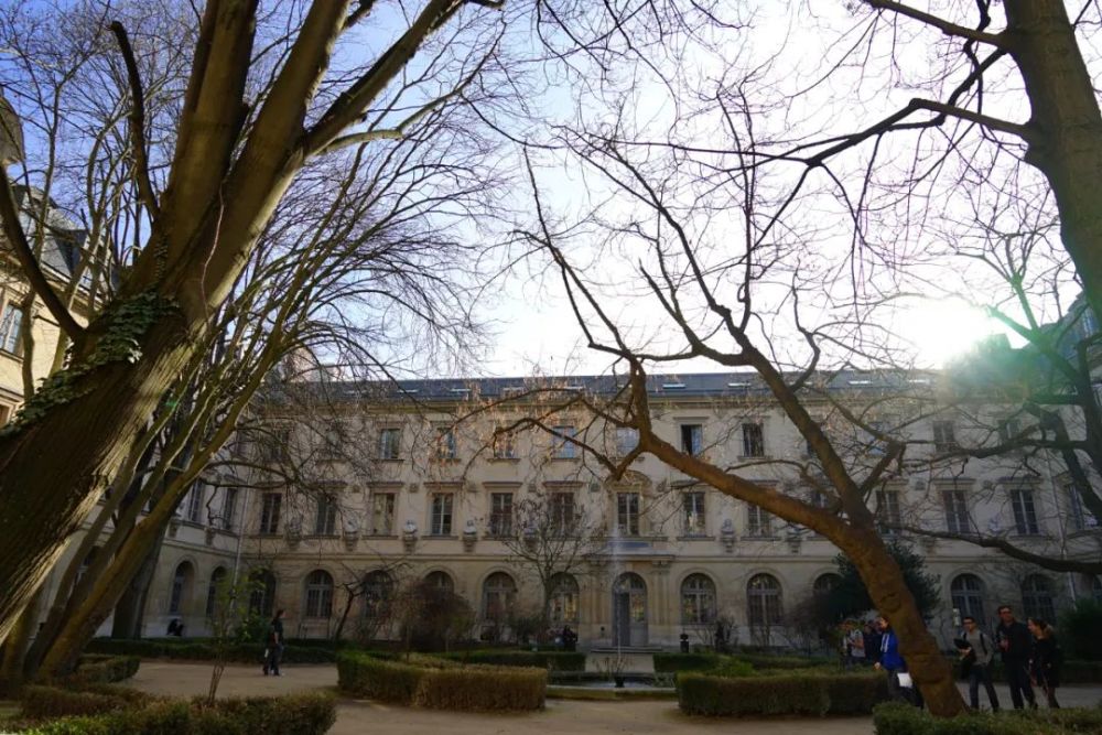 高校学科排行_2021山东高校排名:43所大学上榜,青岛大学居第4,进入全国百强