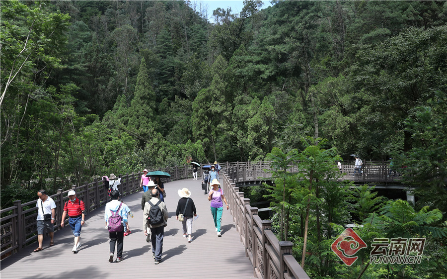 市民游客行走在昆明西山森林公园新建的人行栈道游玩