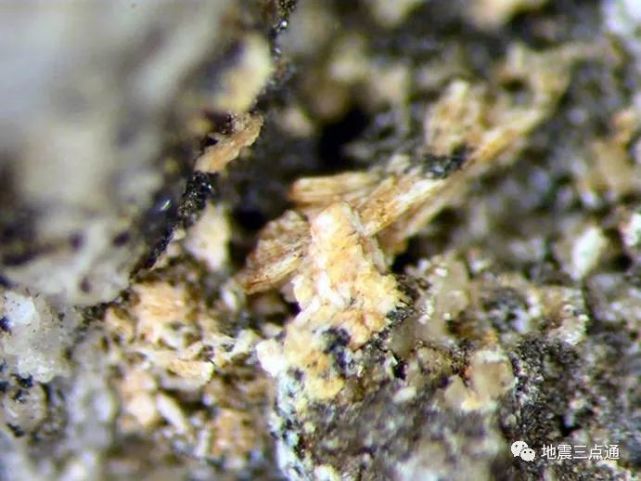 独居石并不“独居”，它有哪些独特性能？_腾讯新闻