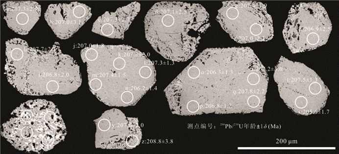 化:獨居石u-pb年代學證據》(2)提取稀土元素獨居石作為重要的稀土礦物