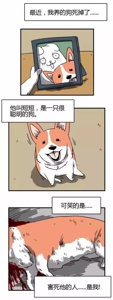 超暖心漫画《犬魂,去世的狗狗回来救我!