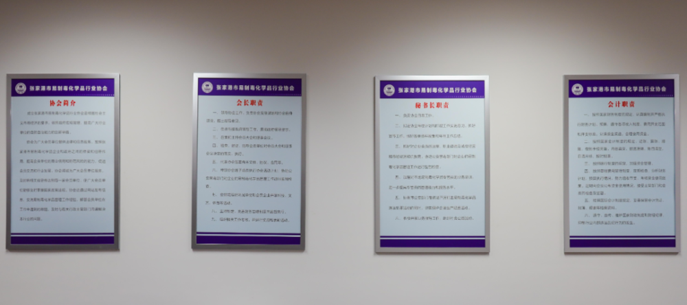 规范队伍建设,加强组织纪律,将组织架构,人员配置,工作职责,工作制度