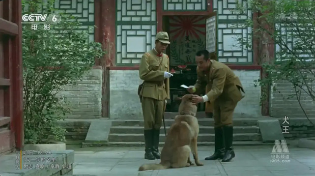 2464人要求"炸死"导演,为了效果炸死军勋犬的姚守岗,终于被骂了