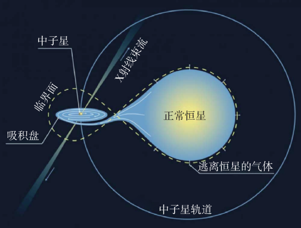 中子星研究的过往今来