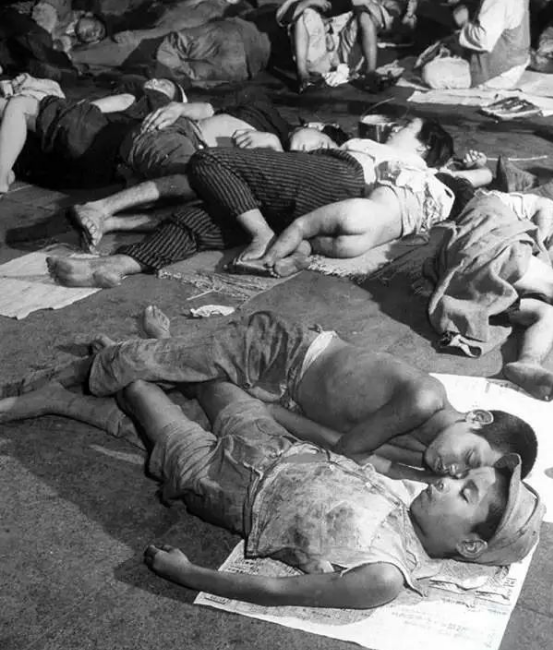 核爆后的日本众生相骨灰盒艺伎与美国大兵