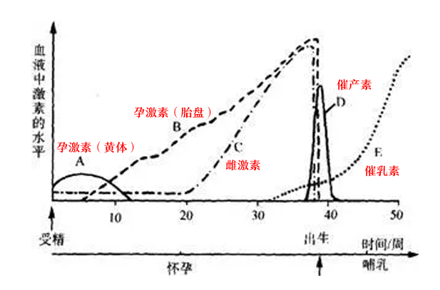 但在孕期的9个多月里,由于体内激素水平升高,本该脱落的头发,很多都没