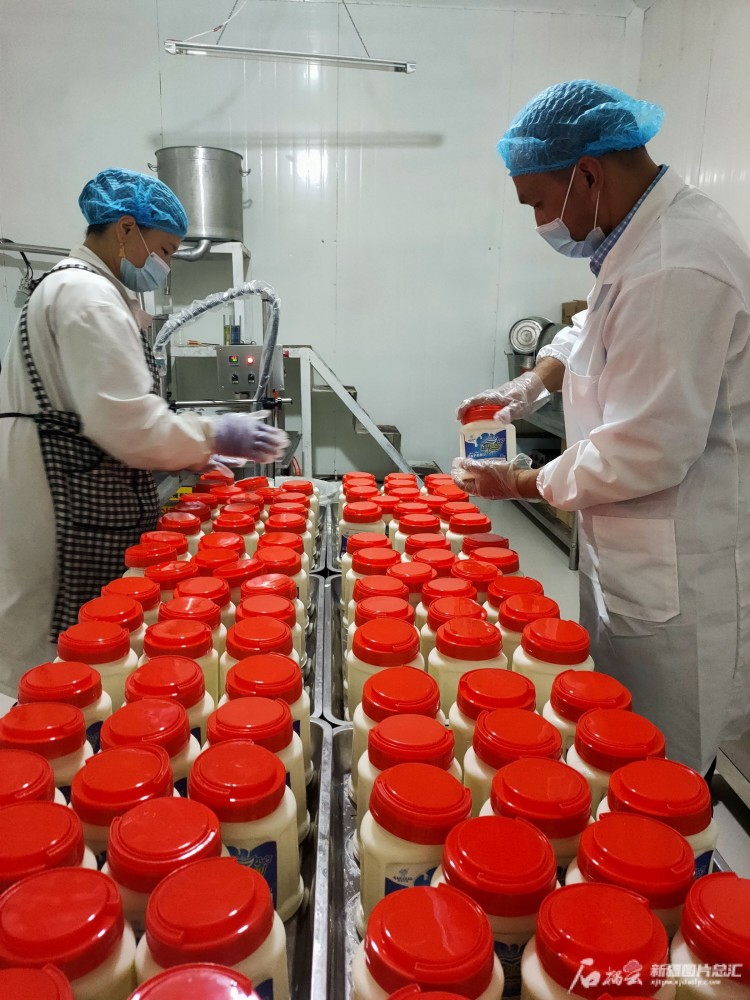 新疆发现丨办起酸奶厂实现致富梦