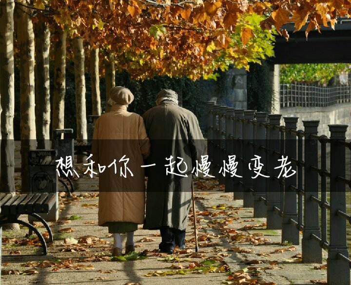 我一生中最浪漫的事就是和你一起慢慢变老,何必千年_腾讯新闻