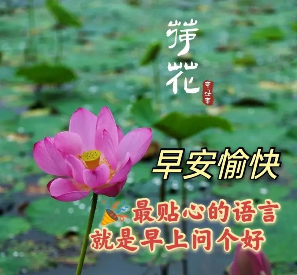 2022年3月15日星期二漂亮早上好问候动态表情图片带字周二最美早安