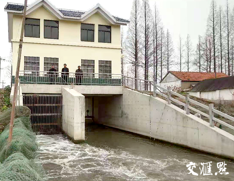 建湖上冈小混混图片