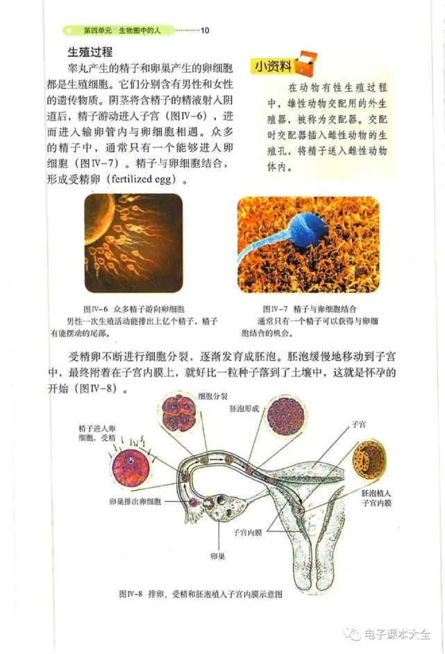 電子課本:初中生物七年級上冊(魯科版五四制)