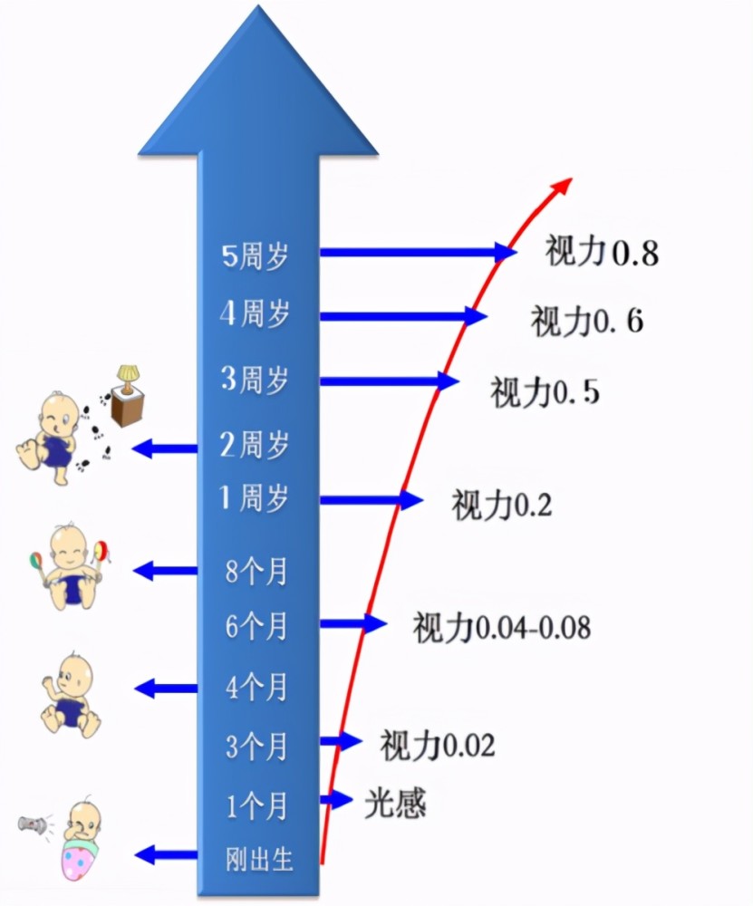 眼睛和视觉功能是逐步发育成熟的,0-6岁是眼球结构和视觉功能发育的