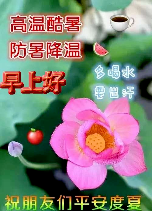 夏天最美早安祝福语图片带字温馨,2022年漂亮早上好问候动态图片