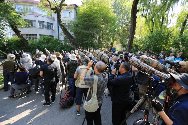 阿勒錦島國家溼地公園以及兆麟公園等地,經常能看到成群結隊手持長焦