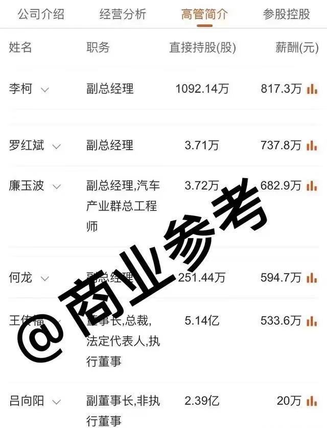 比亚迪高管薪酬曝光王传福妻子800多万表哥吕向阳仅20万