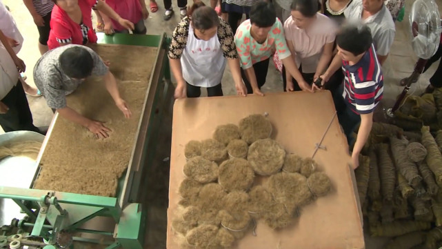 看这里是它分选出来的最短的一级猪毛,问题是,这个猪鬃分选机的效果也