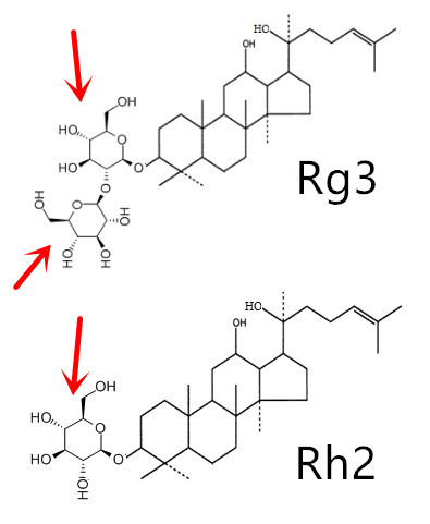 人参皂苷rg3有用吗人参皂苷rg3比rh2更好吗