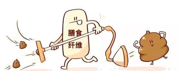 膳食纤维这个东西到底有什么用