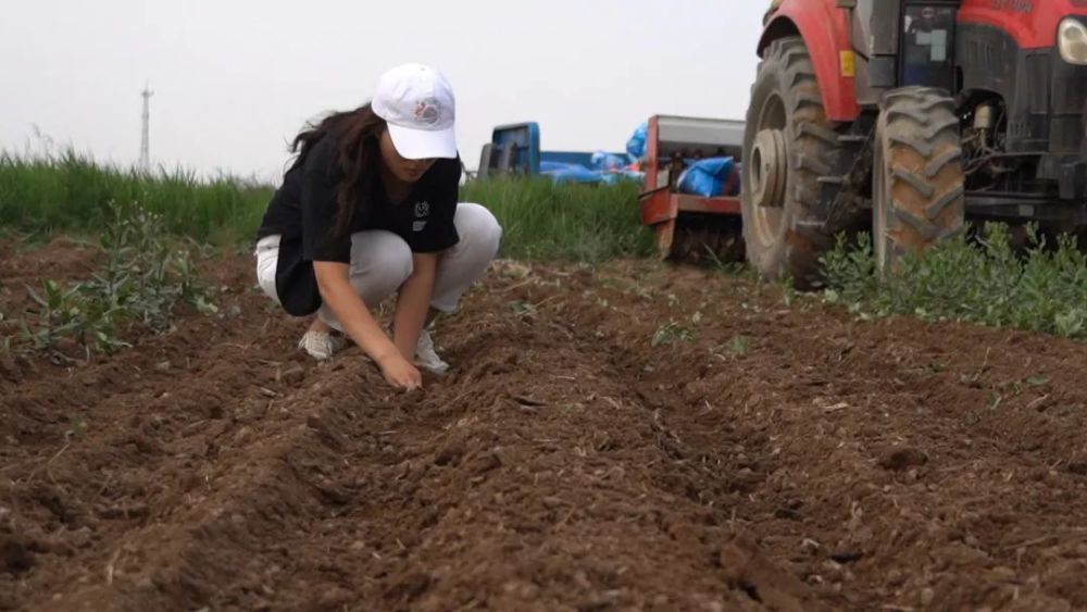 视频火了!"90后"女大学生回家种地,这项技术令乡亲们称赞