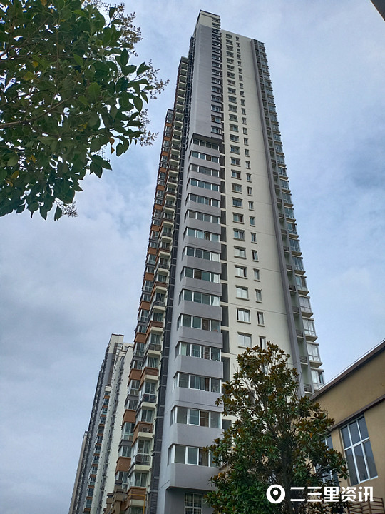 吵鸟儿在31楼窗顶做窝孵化出鸟宝宝难坏商洛一业主