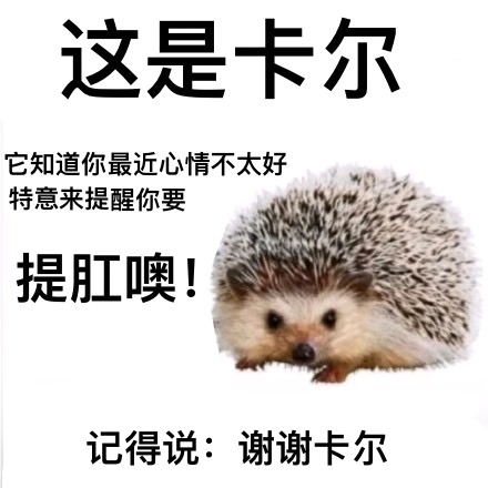 我最要好的朋友竟然已经是只刺猬了