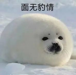 表情|面无表情表情包_腾讯新闻