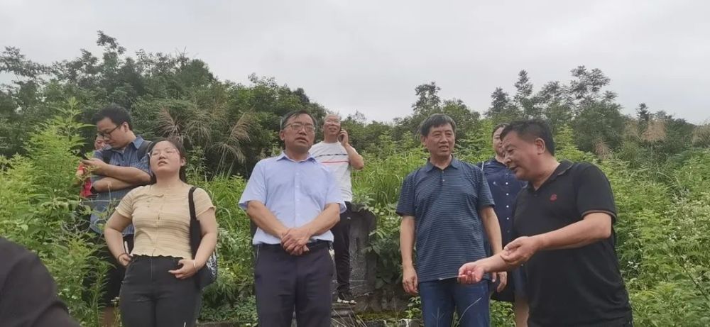 蒋新雄到马头桥坪山村调研指导乡村振兴和文化挖掘工作