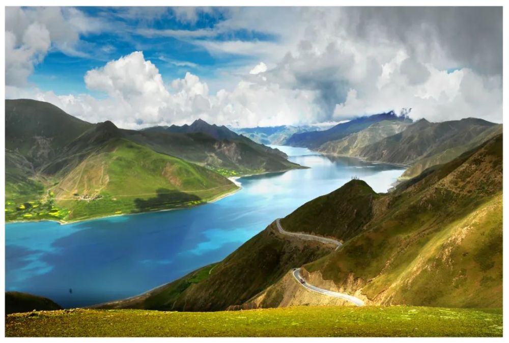好看的纪录片排行中国_这些好看的纪录片,今年别再错过了