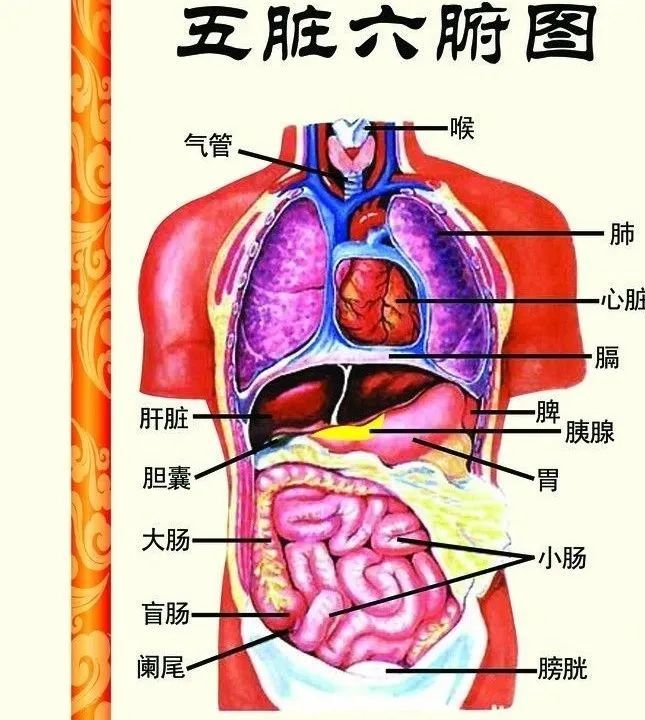 中医养生之春季养生_春季中医养生保健_春季中医养生保健方法