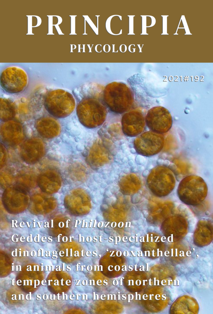 百年前的黄色细胞之谜终于被破解