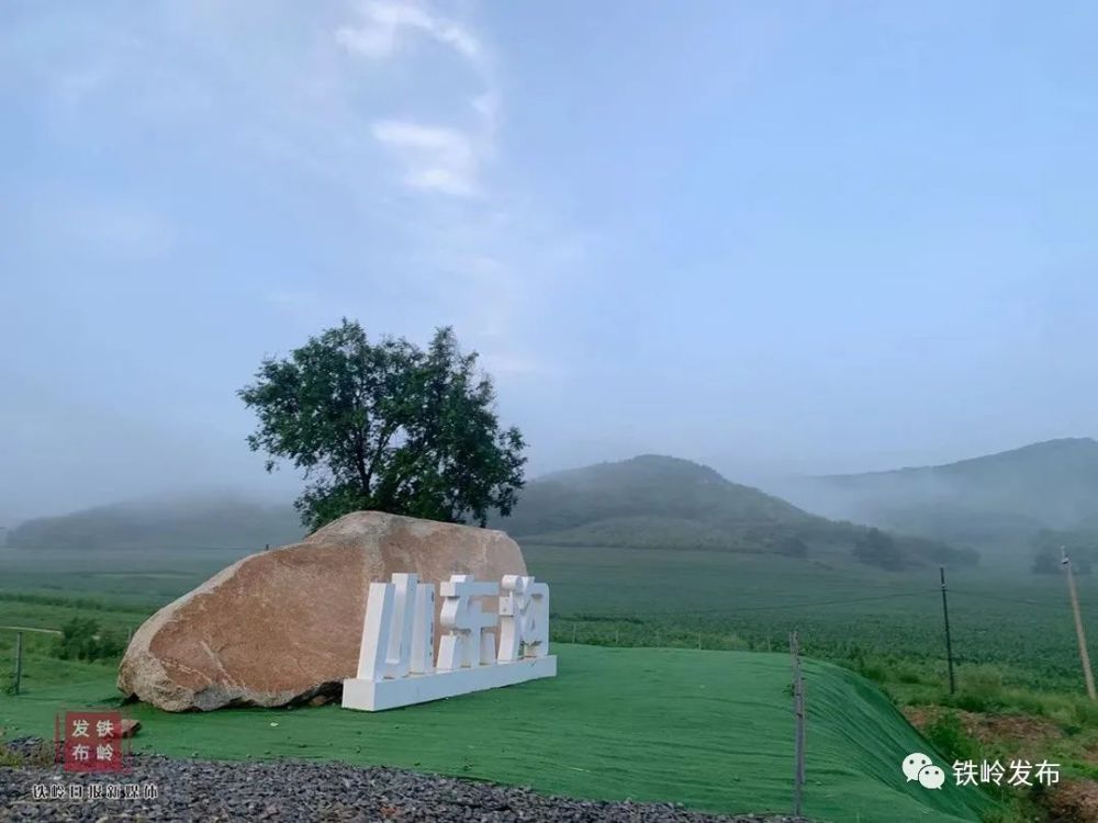 作者:王莹拍摄地点:西丰县小东沟