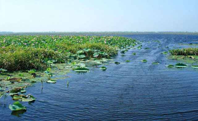 最美不过洪湖水湖北的洪湖景区竟然有众多美景