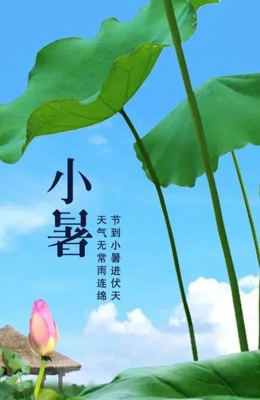 7月7日小暑,俗話