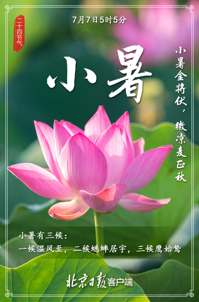 今日小暑你准备好迎接最热三伏天了吗