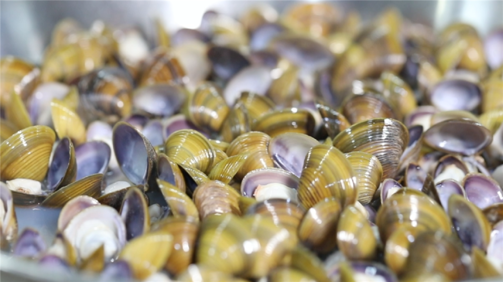 今日小暑!美好盛夏,从鲜美的河鲜开启