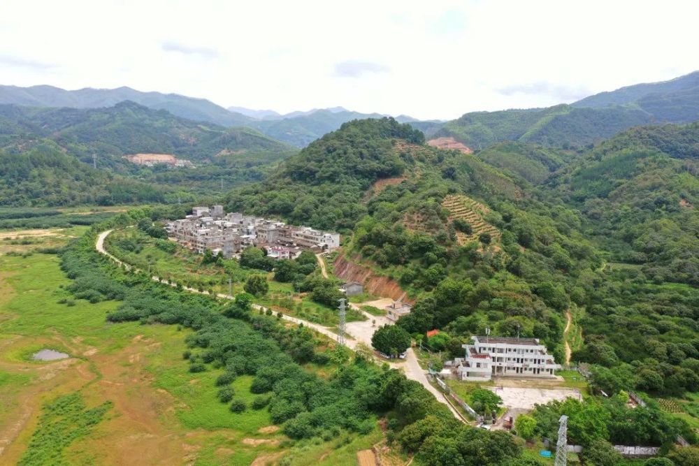 竹径通幽处梅花引蝶来潮州汤溪镇青竹径村
