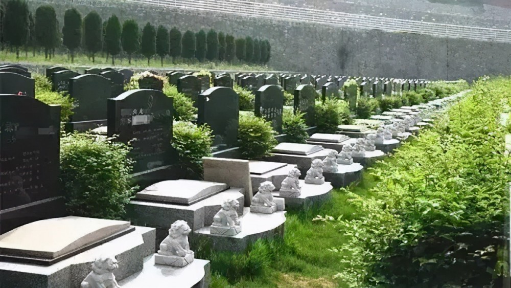 北大教授提议恢复土葬：现在的殡葬制度是把过世的人当垃圾处理！