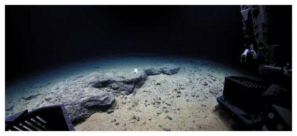 超深渊的海沟最可怕的地方,就是没有可怕的东西能在这里活