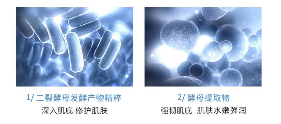 小黑瓶眼霜和小棕瓶眼霜哪個好用從成分到功效詳細解讀