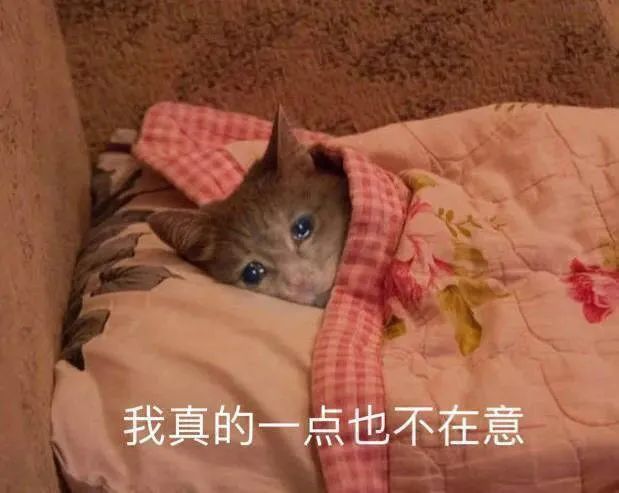 沙雕表情包我也不是一无是处至少我可以让你感觉很烦